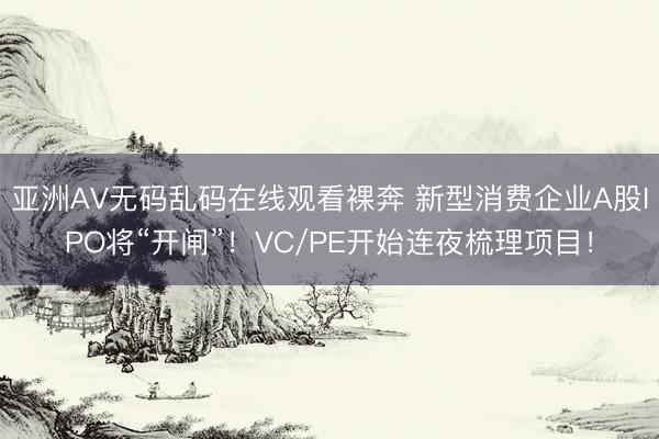 亚洲AV无码乱码在线观看裸奔 新型消费企业A股IPO将“开闸”！VC/PE开始连夜梳理项目！