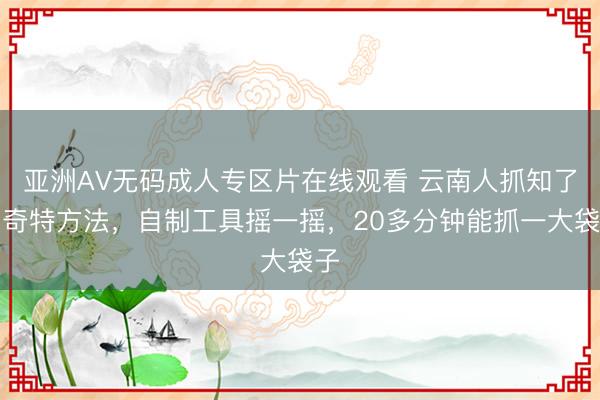 亚洲AV无码成人专区片在线观看 云南人抓知了的奇特方法，自制工具摇一摇，20多分钟能抓一大袋子