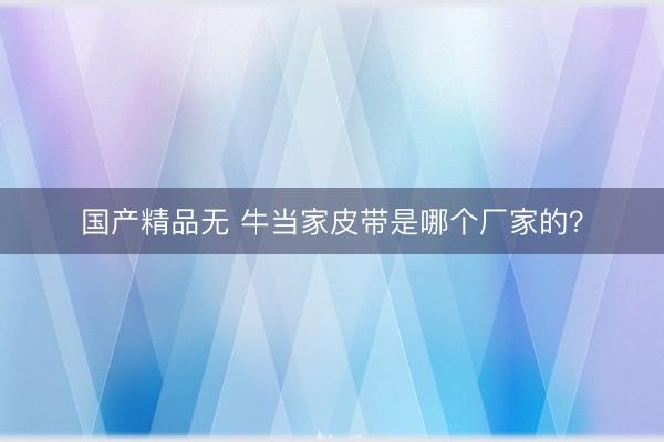 国产精品无 牛当家皮带是哪个厂家的？