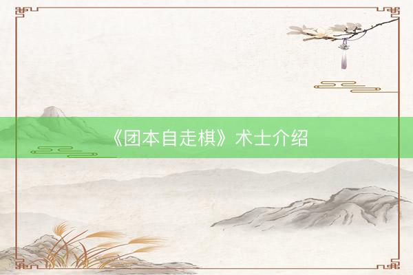 《团本自走棋》术士介绍