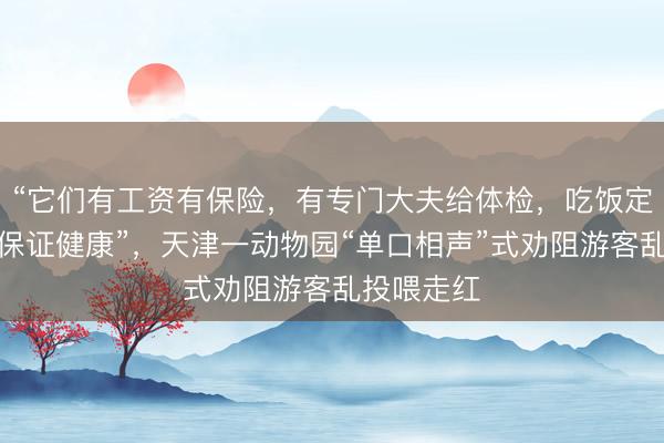 “它们有工资有保险，有专门大夫给体检，吃饭定时定量，保证健康”，天津一动物园“单口相声”式劝阻游客乱投喂走红