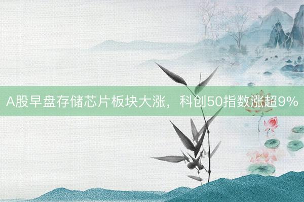 A股早盘存储芯片板块大涨，科创50指数涨超9%
