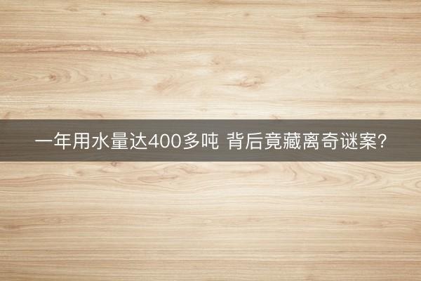 一年用水量达400多吨 背后竟藏离奇谜案？