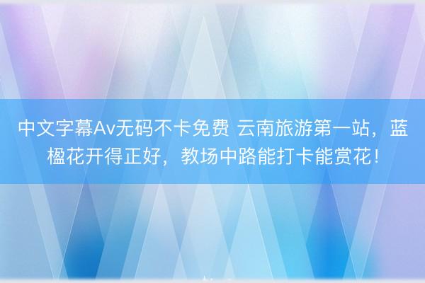 中文字幕Av无码不卡免费 云南旅游第一站，蓝楹花开得正好，教场中路能打卡能赏花！