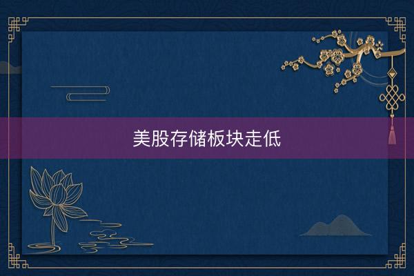 美股存储板块走低