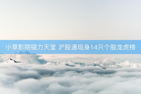 小草影院磁力天堂 沪股通现身14只个股龙虎榜