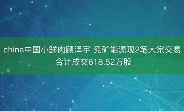 china中国小鲜肉顾泽宇 兖矿能源现2笔大宗交易 合计成交618.52万股