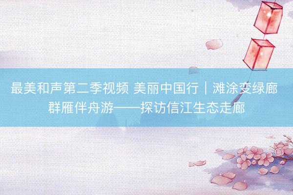 最美和声第二季视频 美丽中国行｜滩涂变绿廊 群雁伴舟游——探访信江生态走廊
