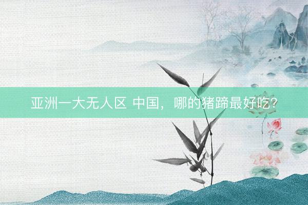 亚洲一大无人区 中国，哪的猪蹄最好吃？
