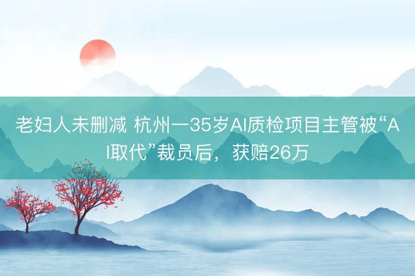 老妇人未删减 杭州一35岁AI质检项目主管被“AI取代”裁员后，获赔26万