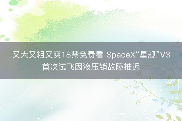 又大又粗又爽18禁免费看 SpaceX“星舰”V3首次试飞因液压销故障推迟