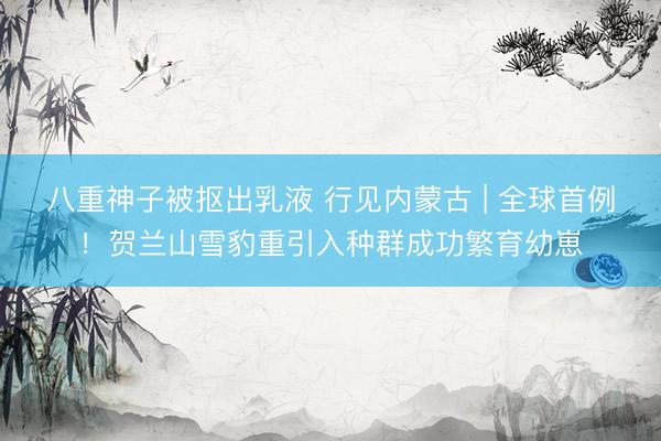 八重神子被抠出乳液 行见内蒙古 | 全球首例！贺兰山雪豹重引入种群成功繁育幼崽
