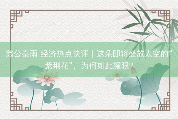 翁公秦雨 经济热点快评｜这朵即将盛放太空的“紫荆花”，为何如此耀眼？