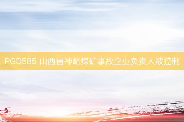 PGD585 山西留神峪煤矿事故企业负责人被控制