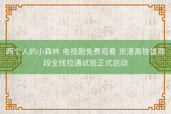 两个人的小森林 电视剧免费观看 京港高铁雄商段全线拉通试验正式启动