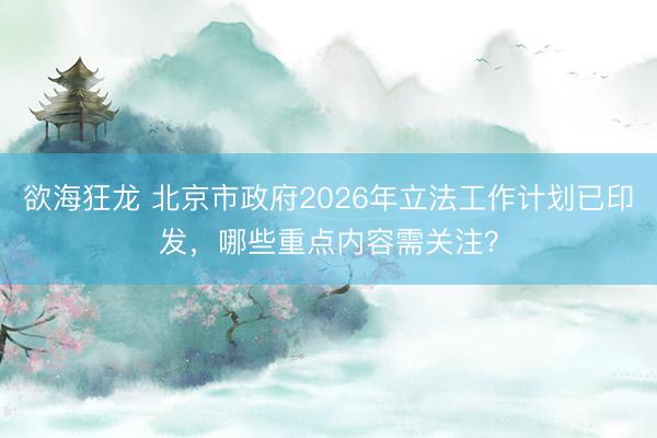 欲海狂龙 北京市政府2026年立法工作计划已印发，哪些重点内容需关注？
