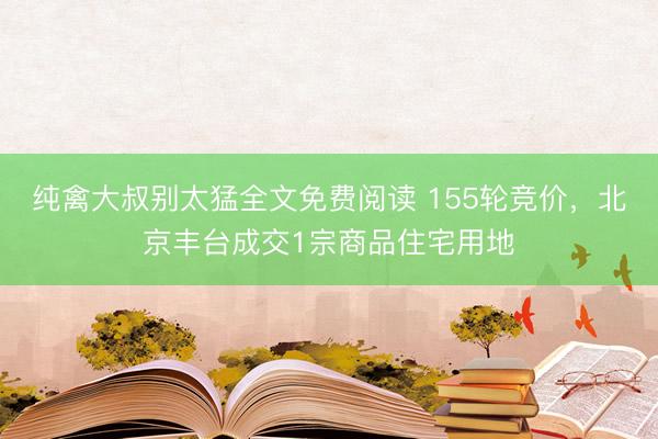 纯禽大叔别太猛全文免费阅读 155轮竞价，北京丰台成交1宗商品住宅用地