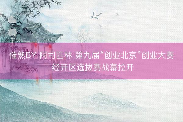 催熟BY 阿司匹林 第九届“创业北京”创业大赛 经开区选拔赛战幕拉开