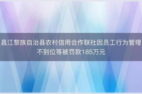 昌江黎族自治县农村信用合作联社因员工行为管理不到位等被罚款185万元