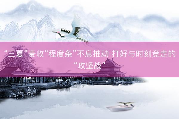 “三夏”麦收“程度条”不息推动 打好与时刻竞走的“攻坚战”