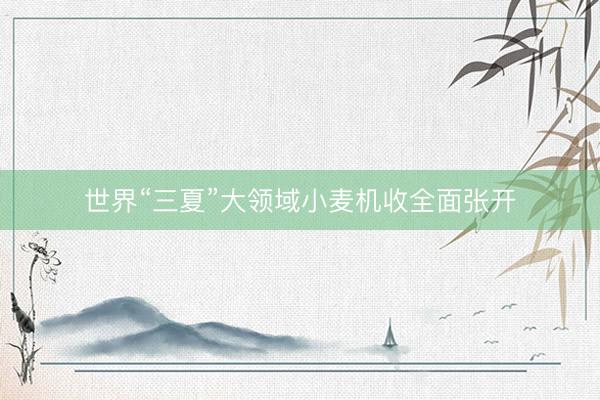 世界“三夏”大领域小麦机收全面张开