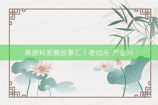 高质料发展故事汇丨老幼乐 产业兴