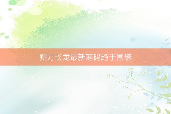 朔方长龙最新筹码趋于围聚