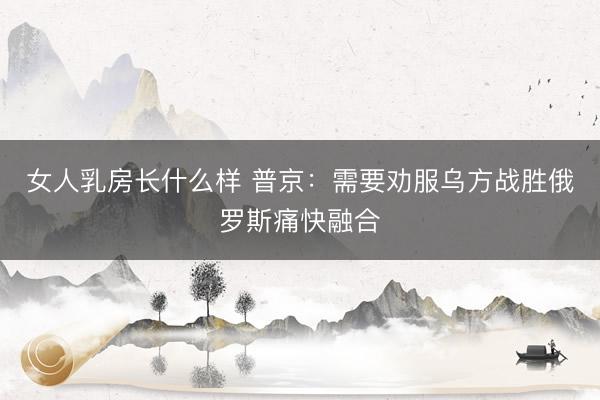 女人乳房长什么样 普京：需要劝服乌方战胜俄罗斯痛快融合