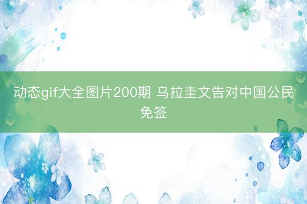 动态gif大全图片200期 乌拉圭文告对中国公民免签