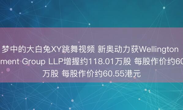梦中的大白兔XY跳舞视频 新奥动力获Wellington Management Group LLP增握约118.01万股 每股作价约60.55港元