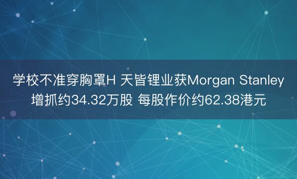 学校不准穿胸罩H 天皆锂业获Morgan Stanley增抓约34.32万股 每股作价约62.38港元