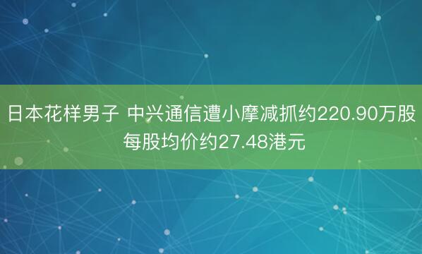 日本花样男子 中兴通信遭小摩减抓约220.90万股 每股均价约27.48港元