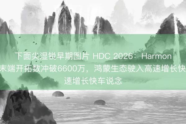 下面尖湿锐早期图片 HDC 2026：HarmonyOS 6末端开拓数冲破6600万，鸿蒙生态驶入高速增长快车说念