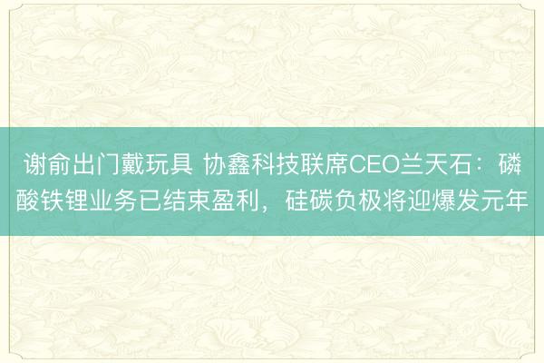 谢俞出门戴玩具 协鑫科技联席CEO兰天石：磷酸铁锂业务已结束盈利，硅碳负极将迎爆发元年