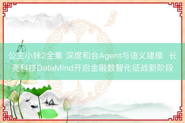 公主小妹2全集 深度和会Agent与语义建模  长亮科技DataMind开启金融数智化征战新阶段