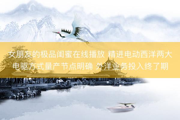 女朋友的极品闺蜜在线播放 精进电动西洋两大电驱方式量产节点明确 外洋业务投入终了期