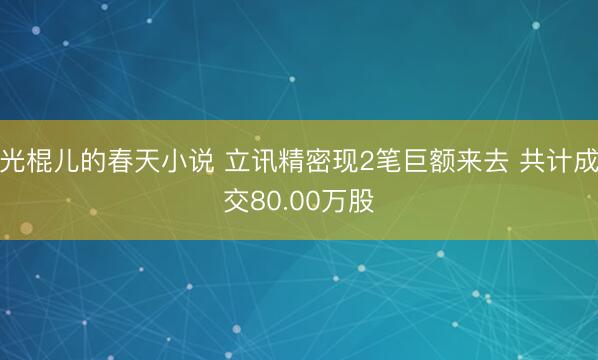 光棍儿的春天小说 立讯精密现2笔巨额来去 共计成交80.00万股