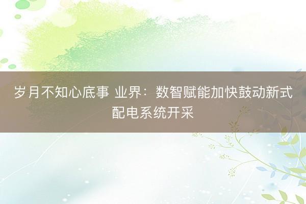 岁月不知心底事 业界：数智赋能加快鼓动新式配电系统开采