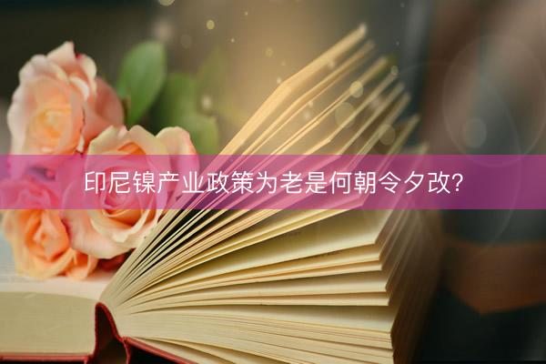 印尼镍产业政策为老是何朝令夕改？