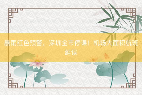 暴雨红色预警，深圳全市停课！机场大面积航班延误