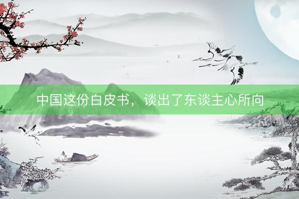 中国这份白皮书，谈出了东谈主心所向