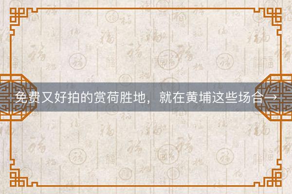 免费又好拍的赏荷胜地，就在黄埔这些场合→